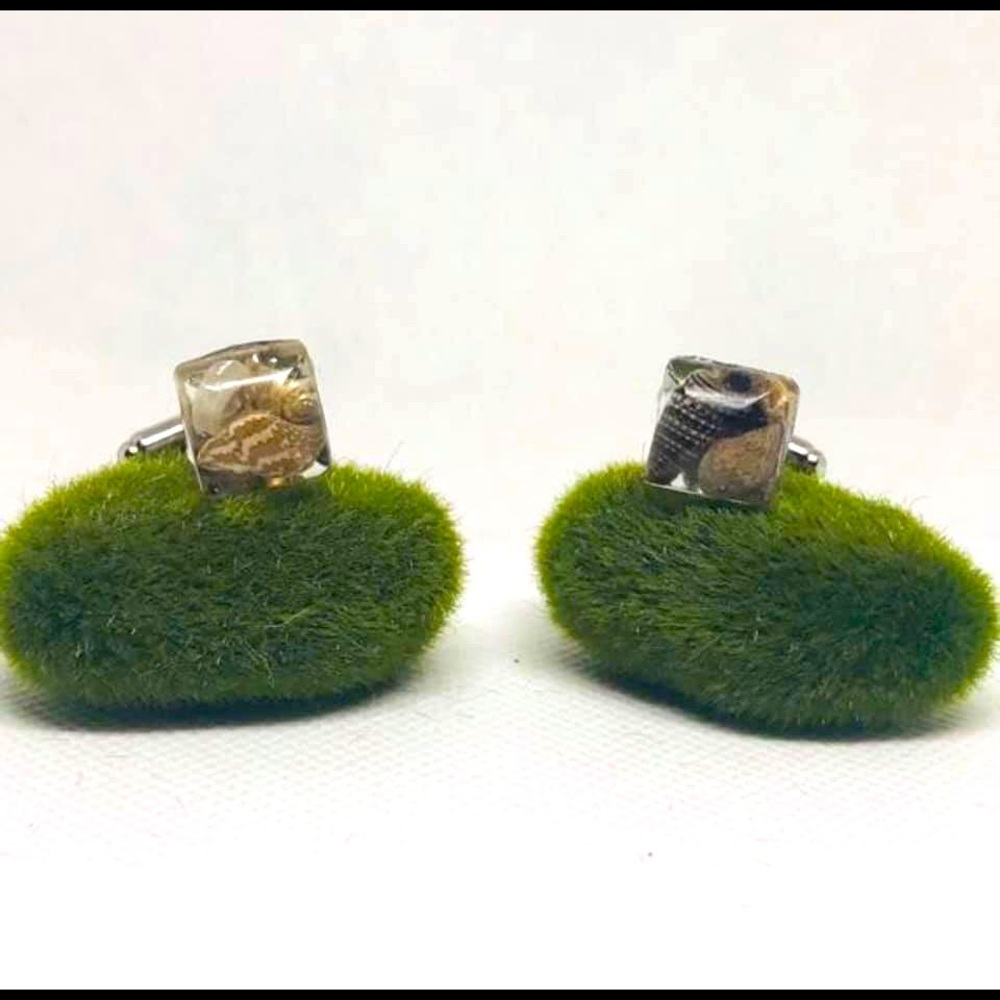 Clear seashell cufflinks